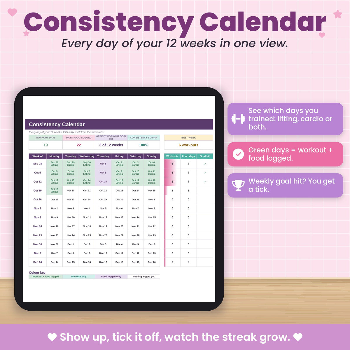 Workout & Macro Tracker Spreadsheet for Excel & Google Sheets